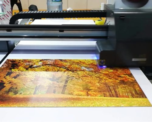 Digital Printing Digital Printing
